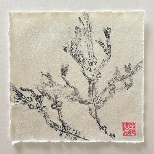 Seaweed Mini Print – Black on Thai Mulberry Paper