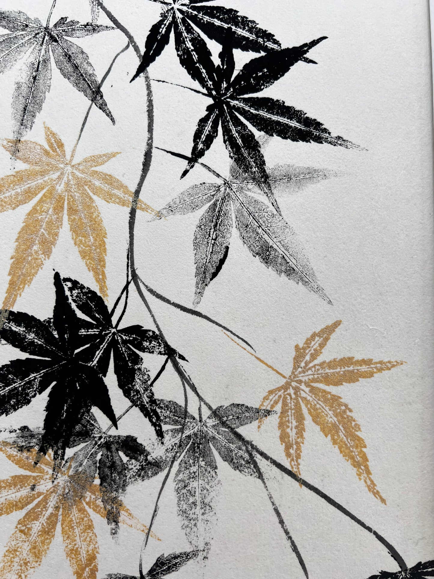 Acer Gyotaku on handmade Japanese Kozo Paper.