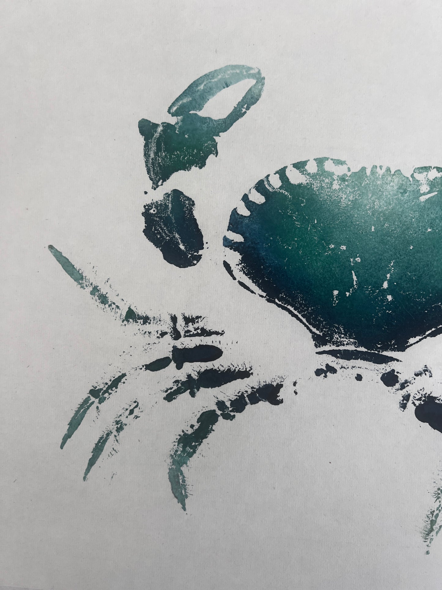 Gyotaku impression taken from the surface of an Anglesey Crab