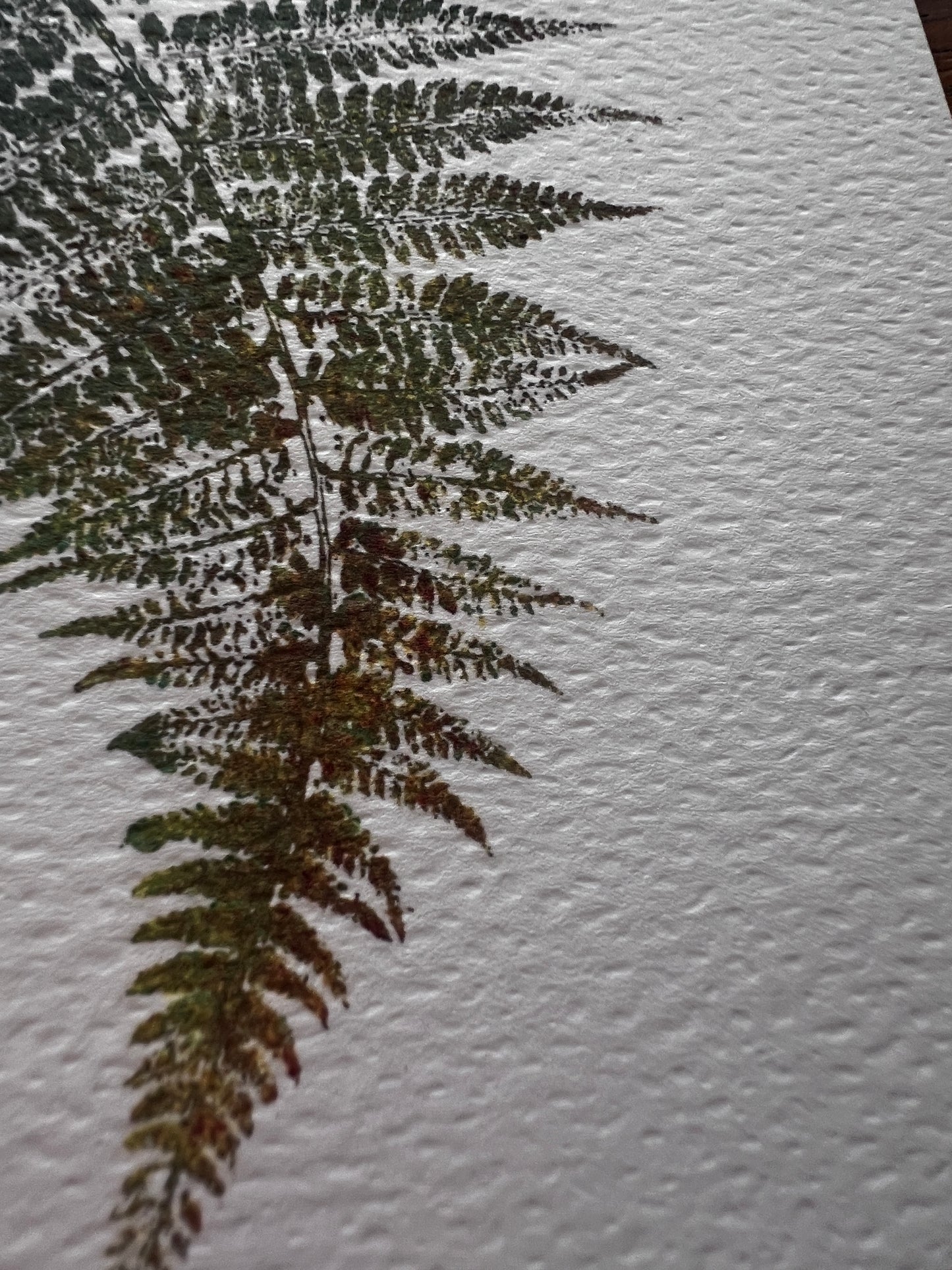 Fern Greeting Card