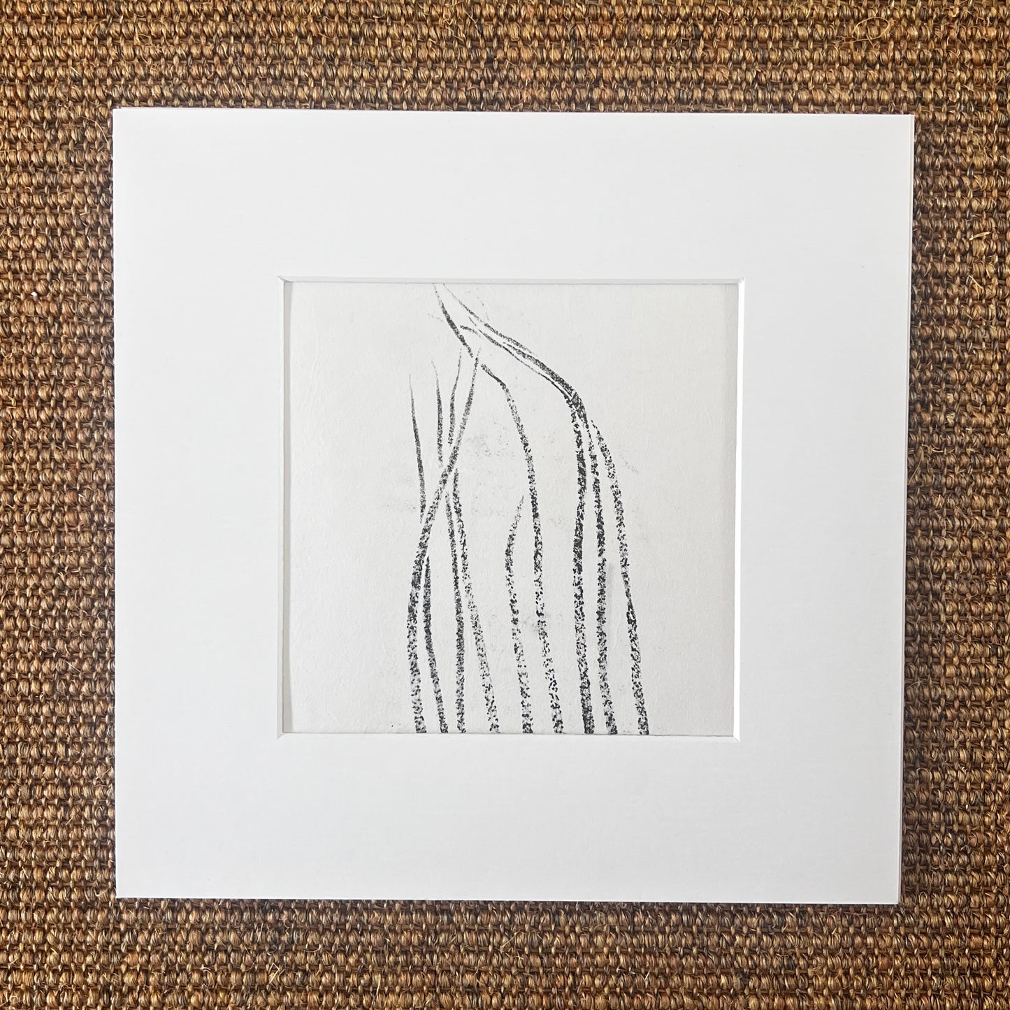 Sea Spaghetti