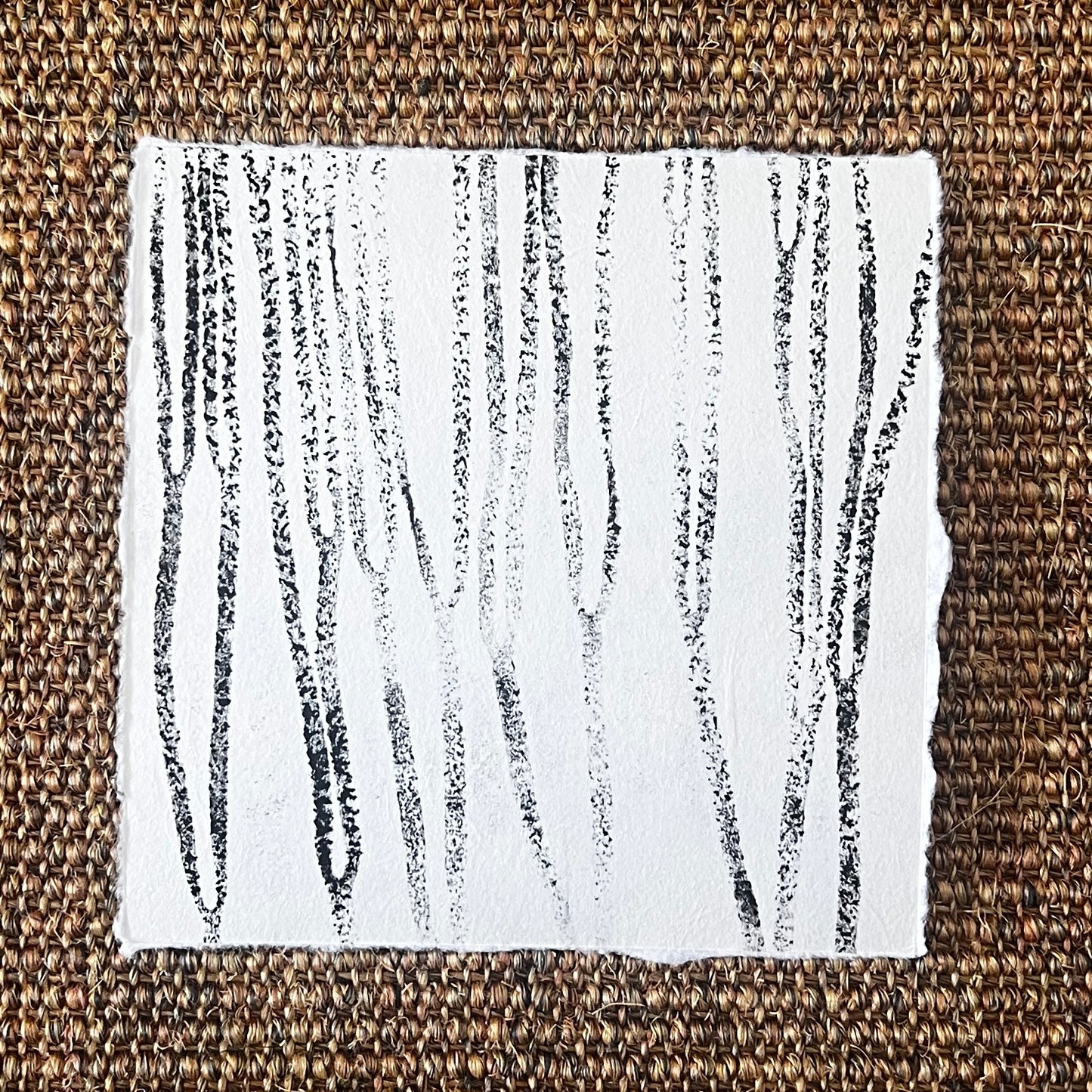 Sea Spaghetti