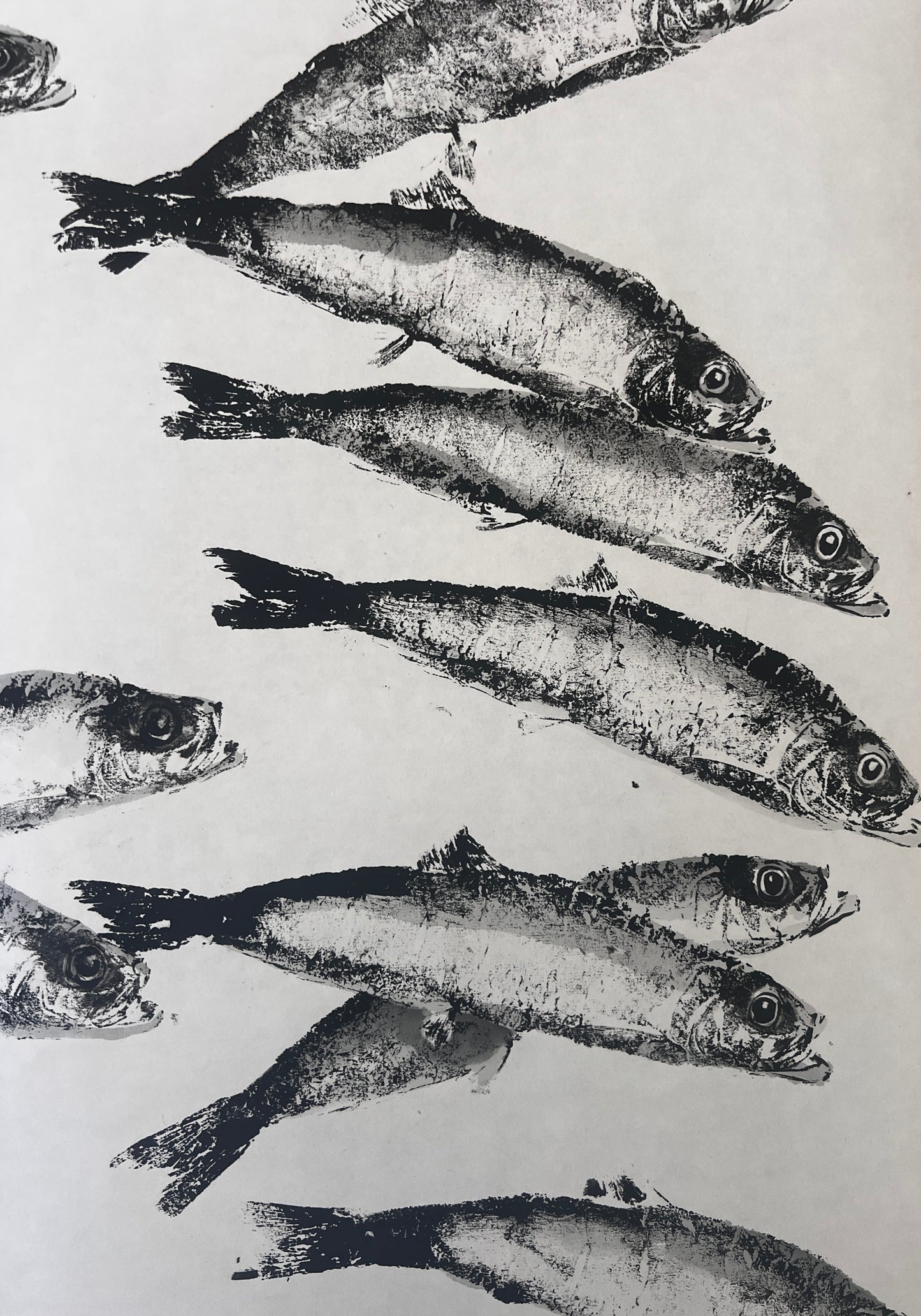 Herring Gyotaku Print finished with watercolour