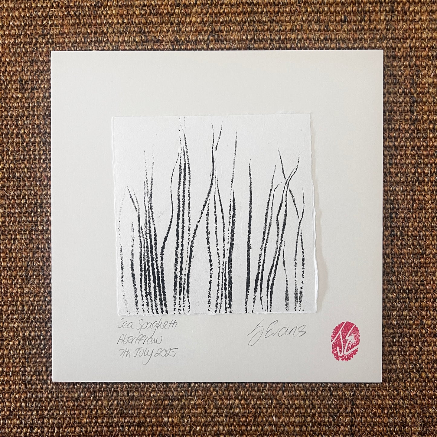 Sea Spaghetti
