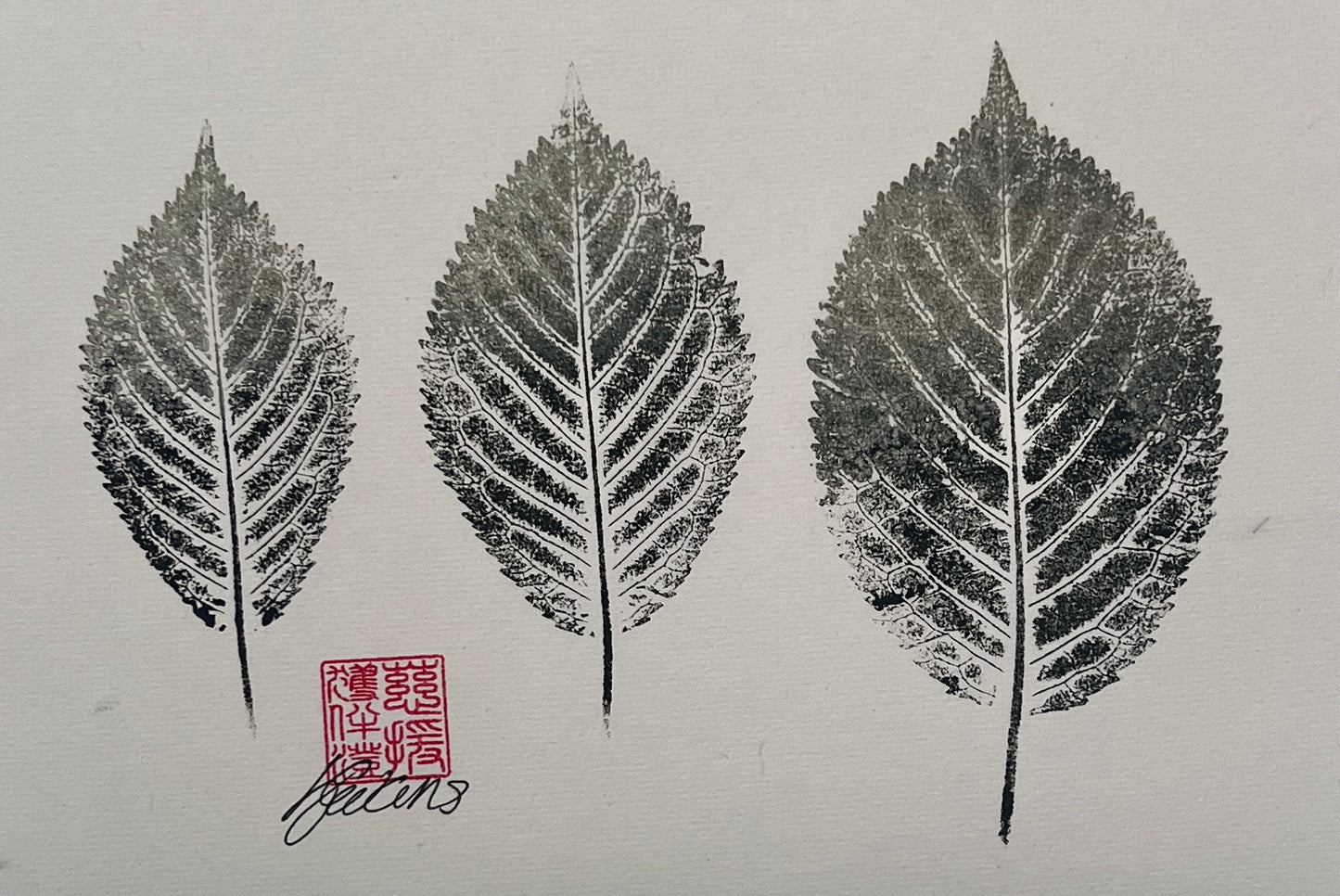 Gyotaku of Ash Leaves