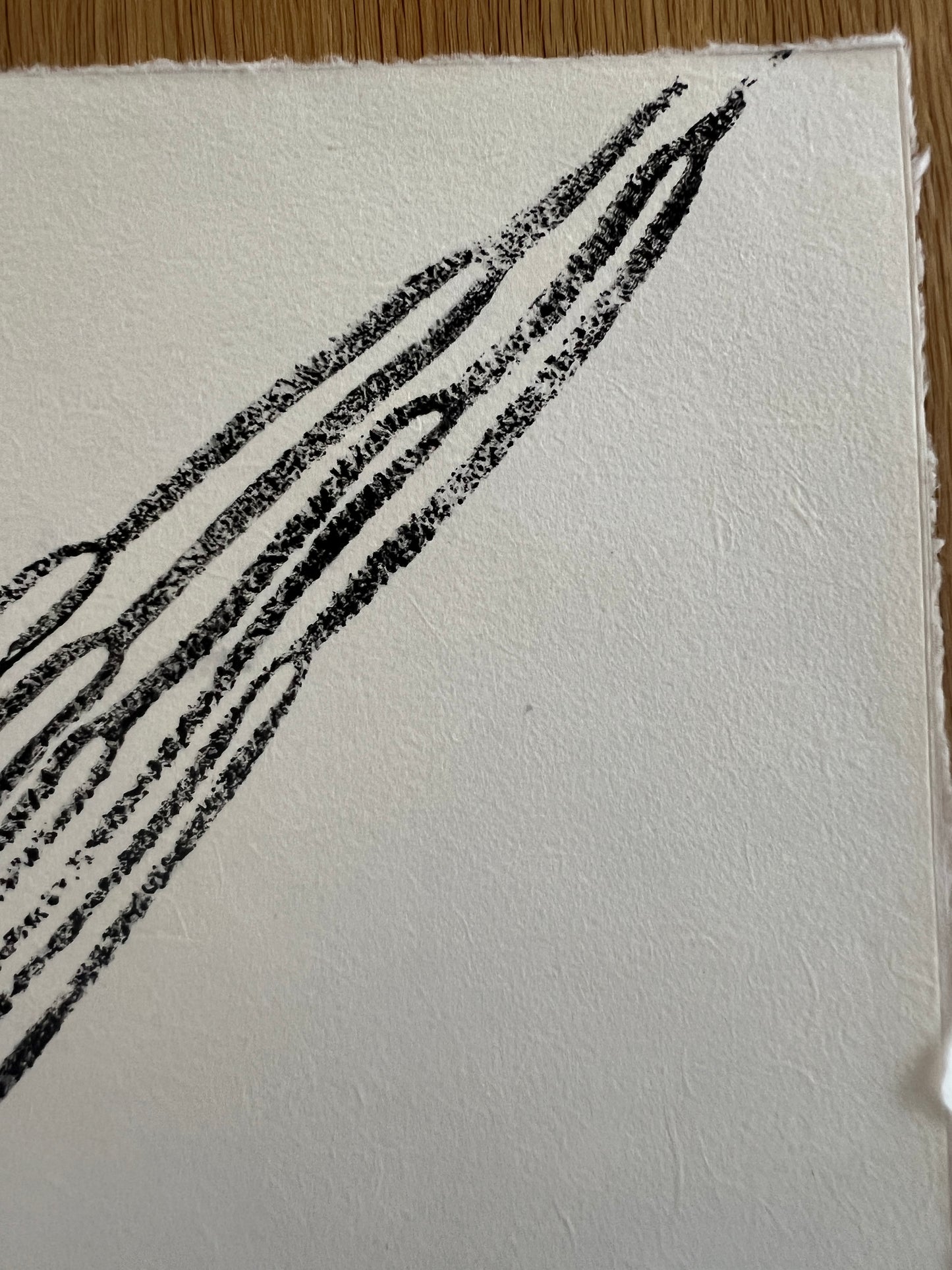 A4 Sea Spaghetti Print – Gyotaku-Inspired Marine Wall Art