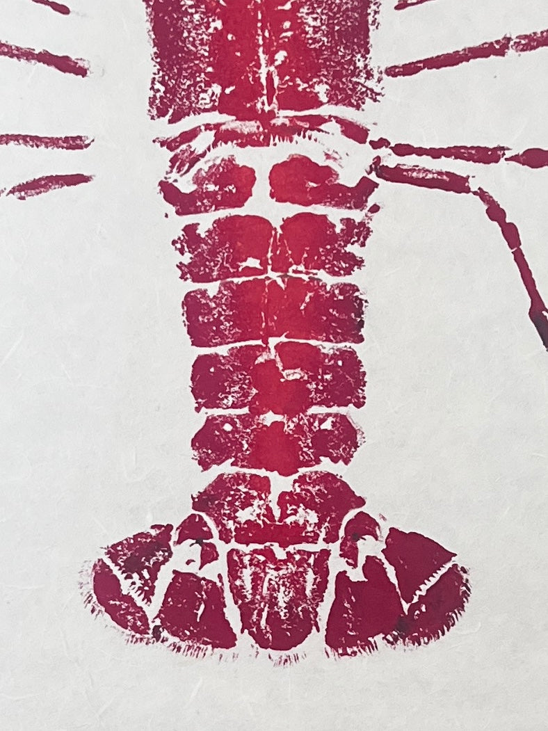 Menai Strait Lobster, Gyotaku Printed in Red ink.