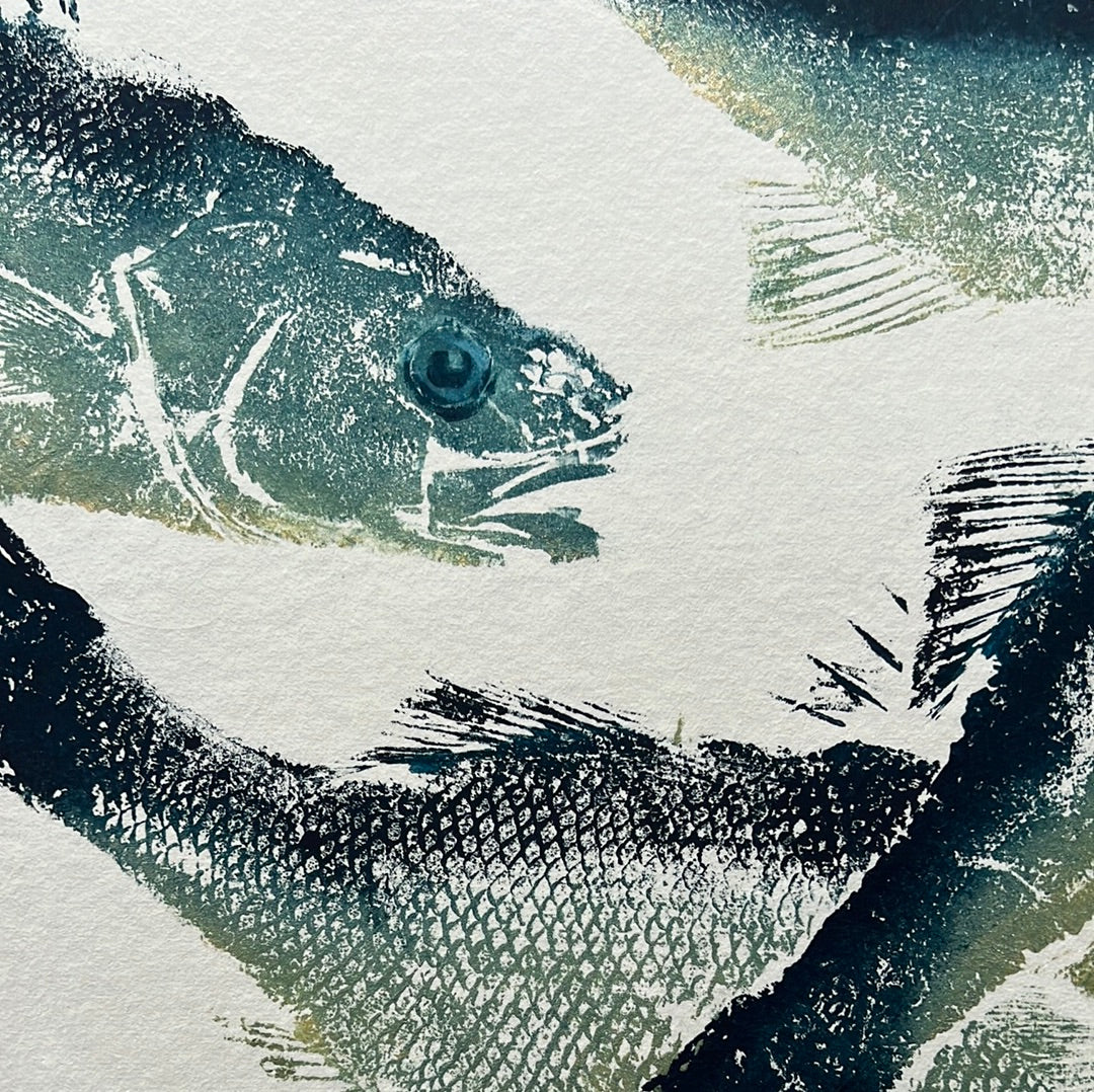 Sea Bass Triptych Gyotaku