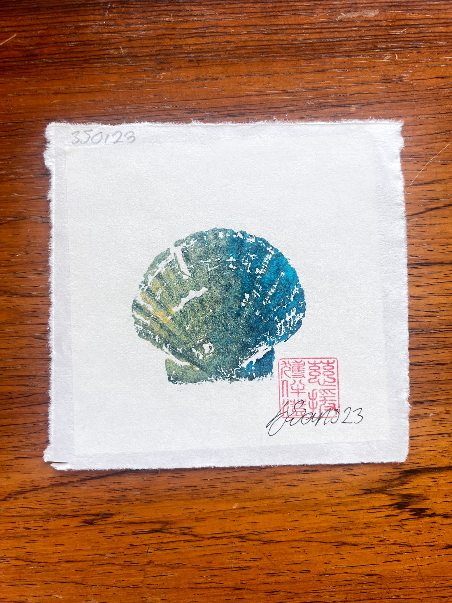 Mini Scallop Shell Gyotaku
