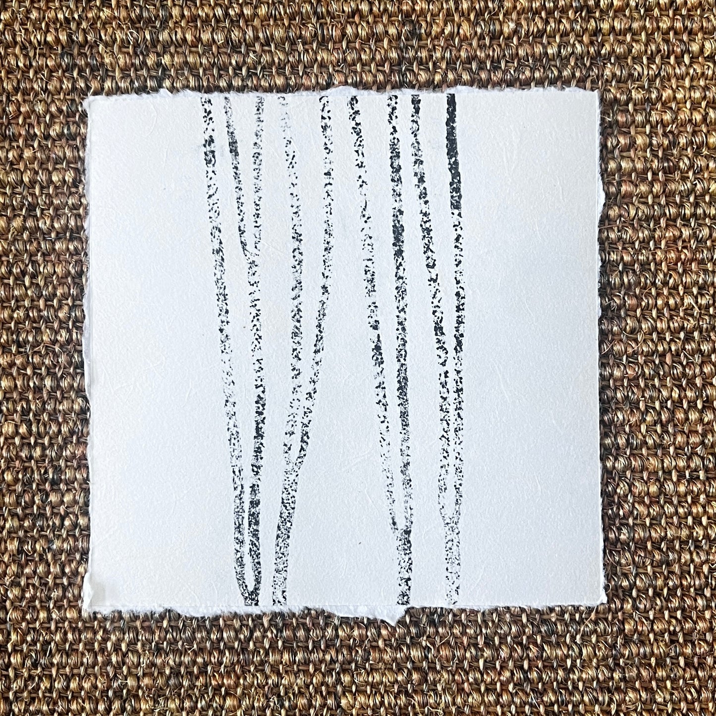 Sea Spaghetti