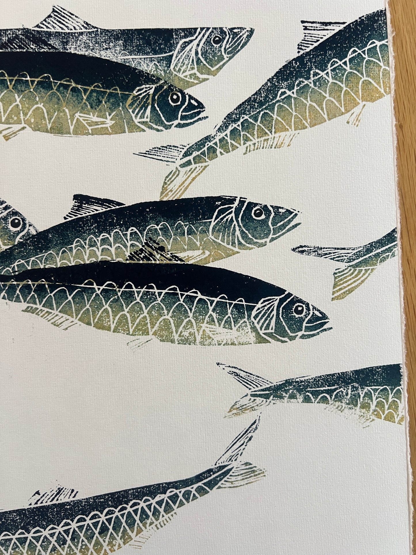 A3 Sardines Print – Hand-Carved Linotaku
