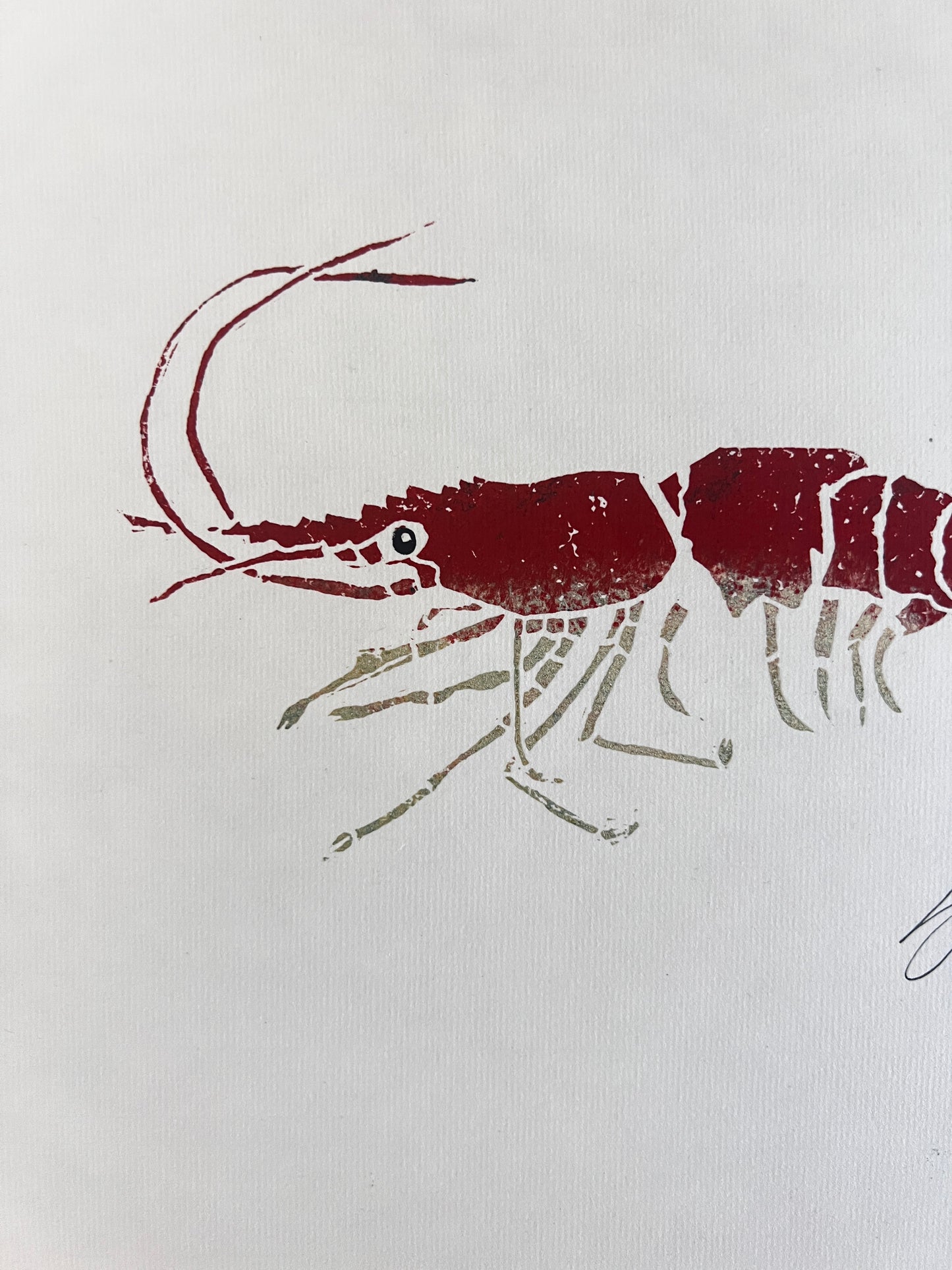 Linotaku Prawn
