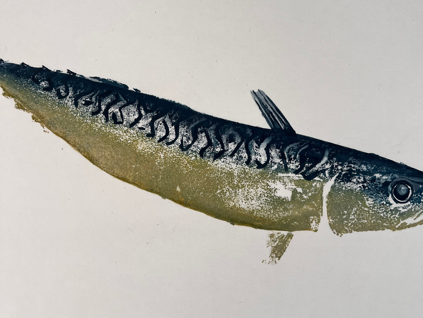 IMPRESSION TAKEN FROM A MACKEREL BLUE AND GOLD