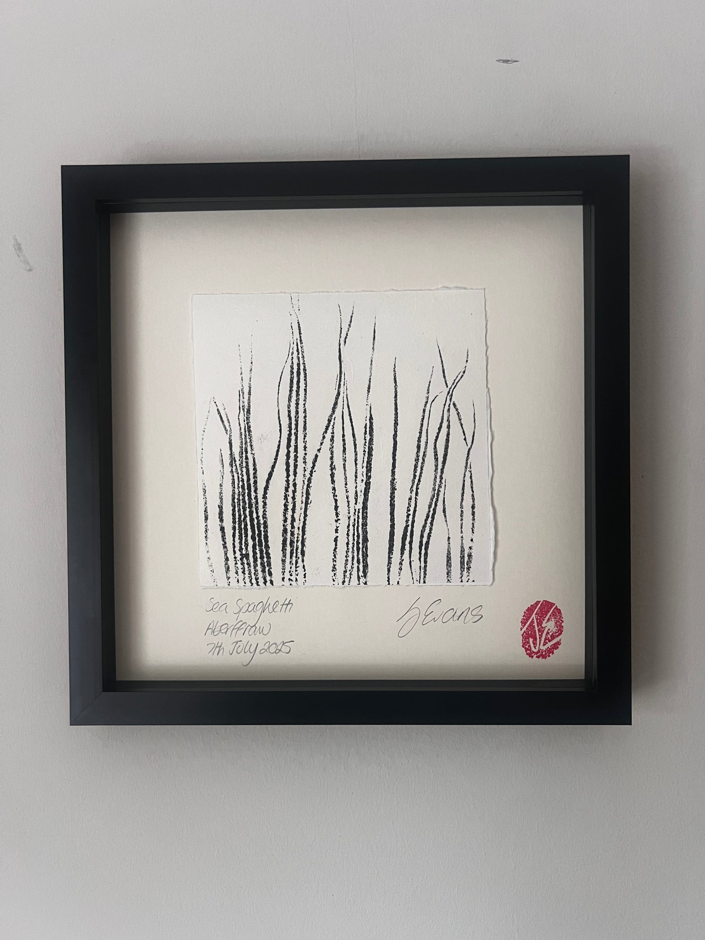 Sea Spaghetti