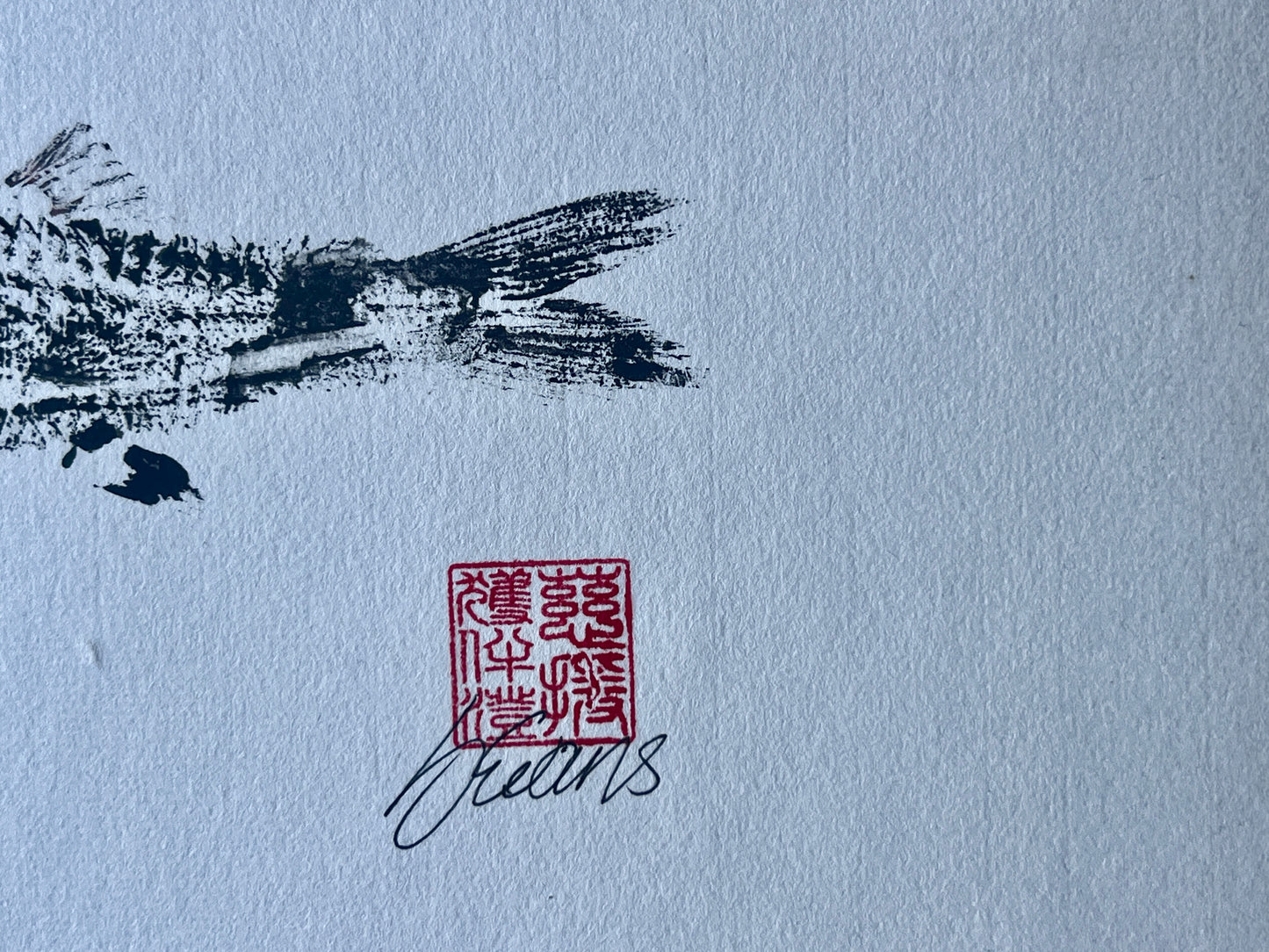 Gyotaku of a small Red Mullet from the waters of North Wales in Sumi
