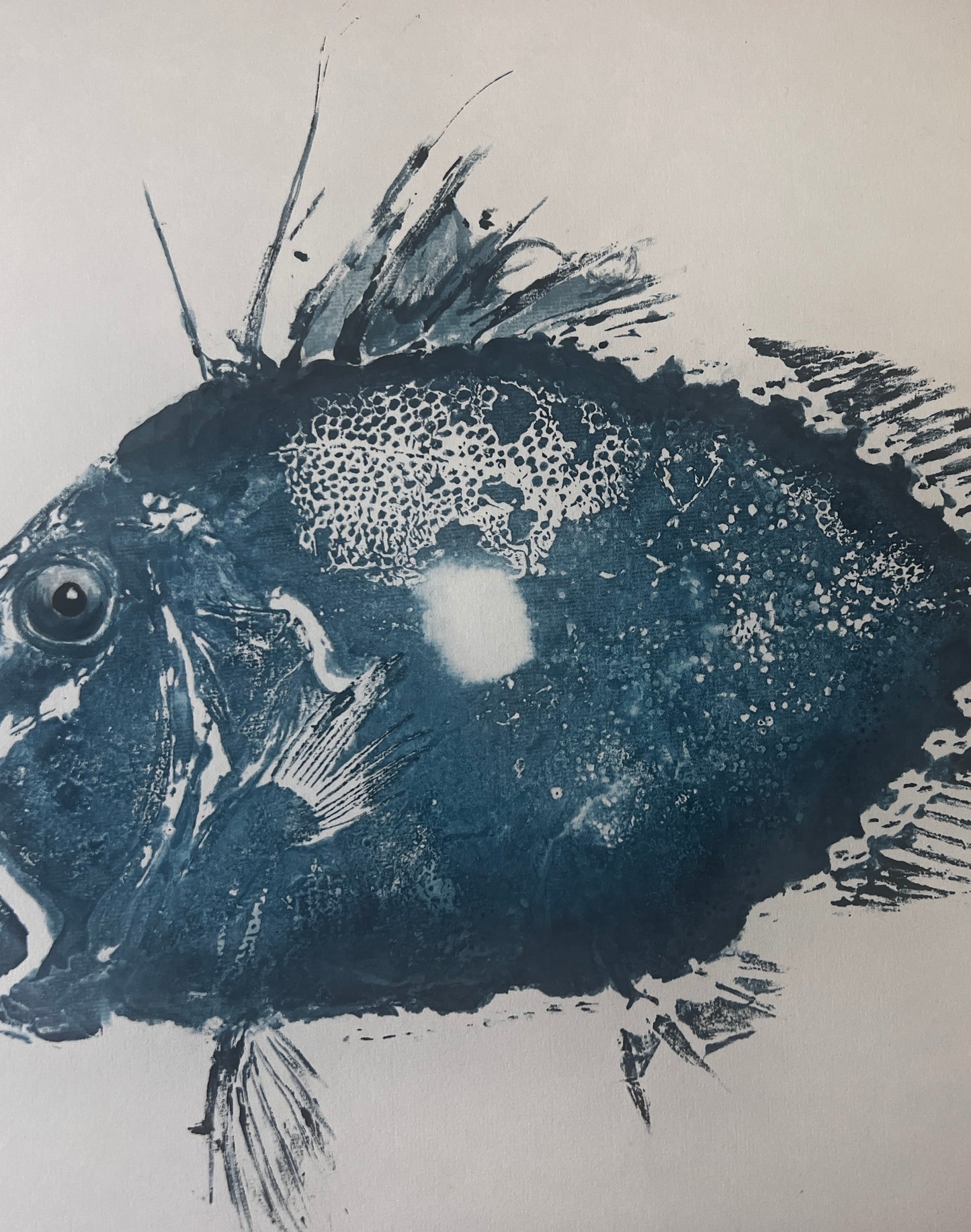 Gyotaku of John Dory