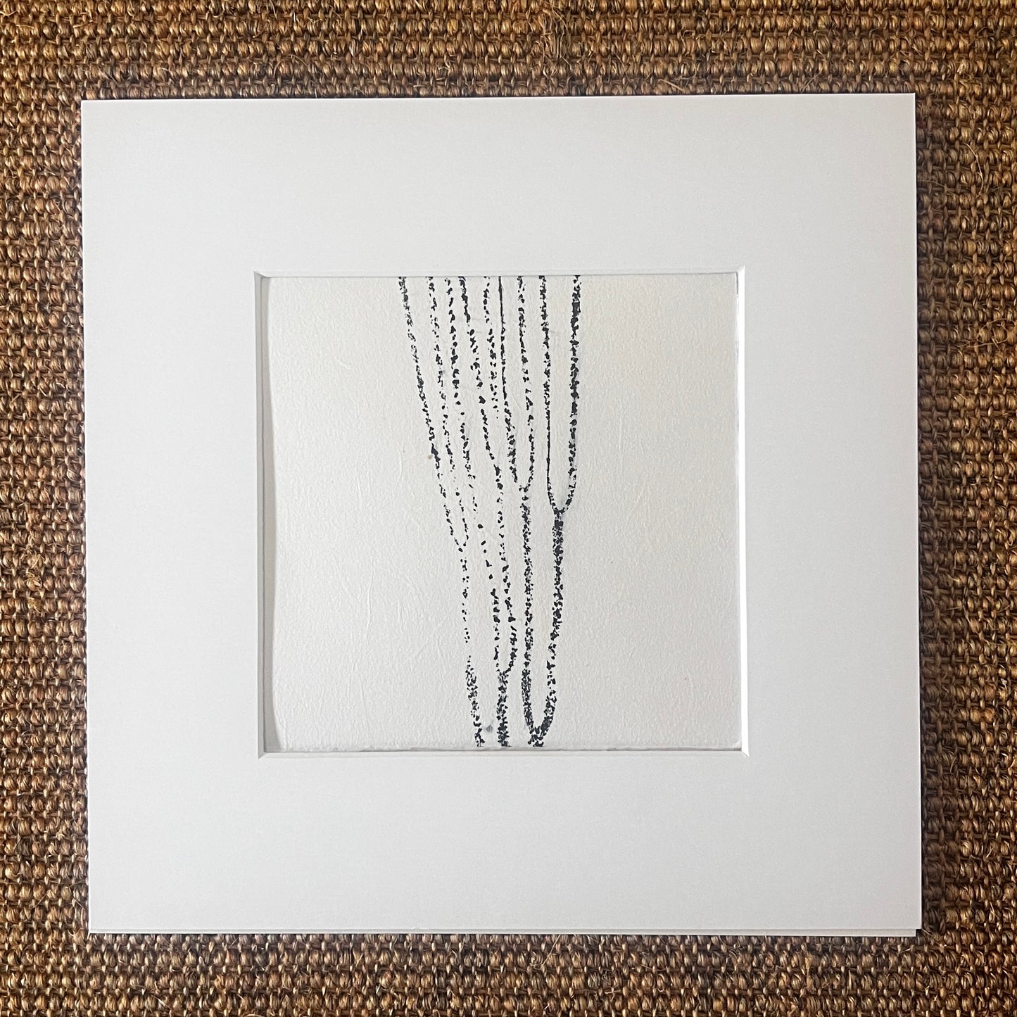 Sea Spaghetti