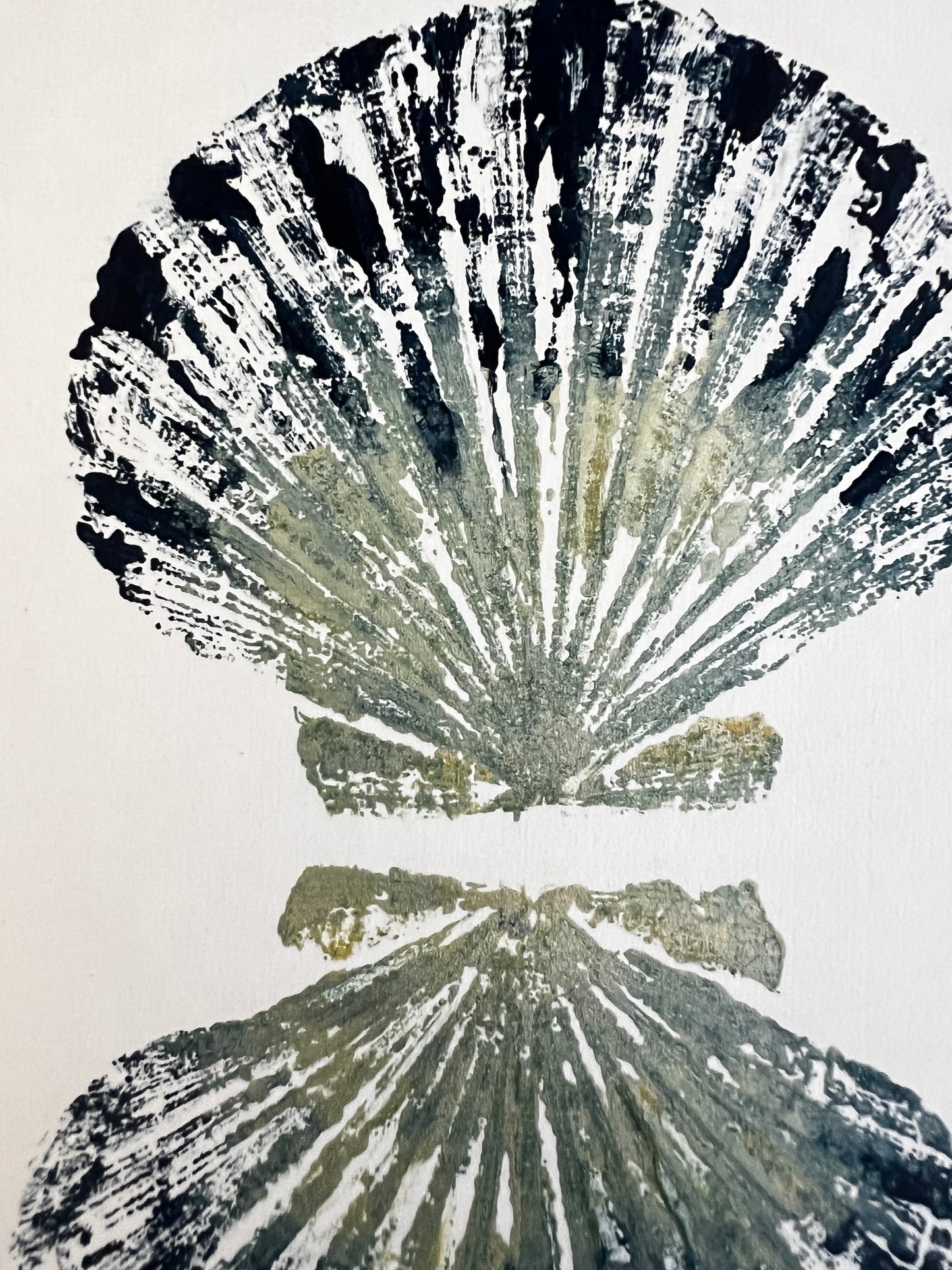 Scallop Shell Duo Gyotaku