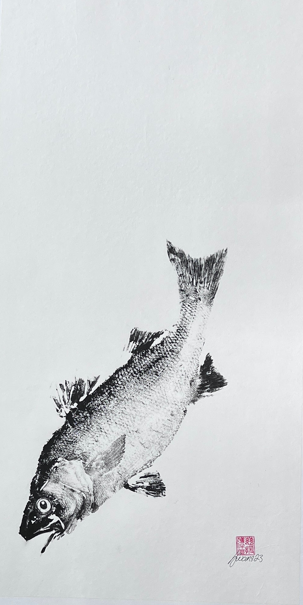 Anglesey Sea Bass Gyotaku Print using Sumi Ink