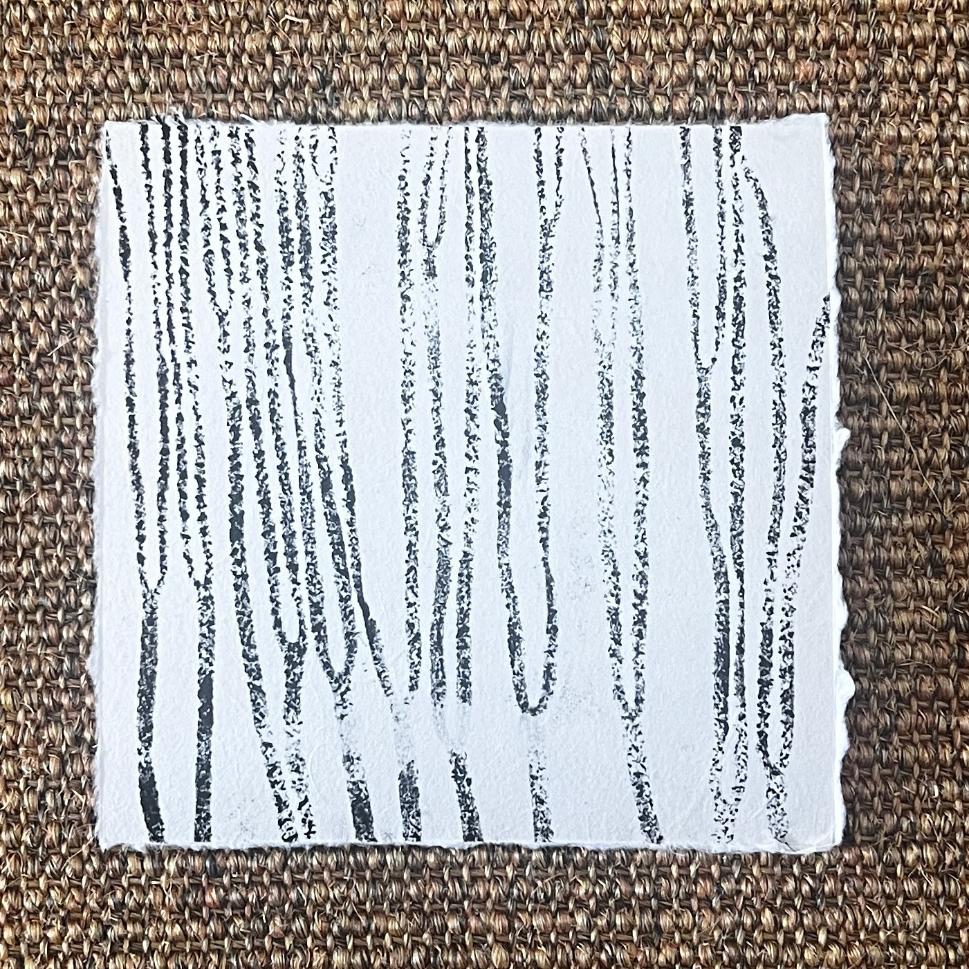 Sea Spaghetti