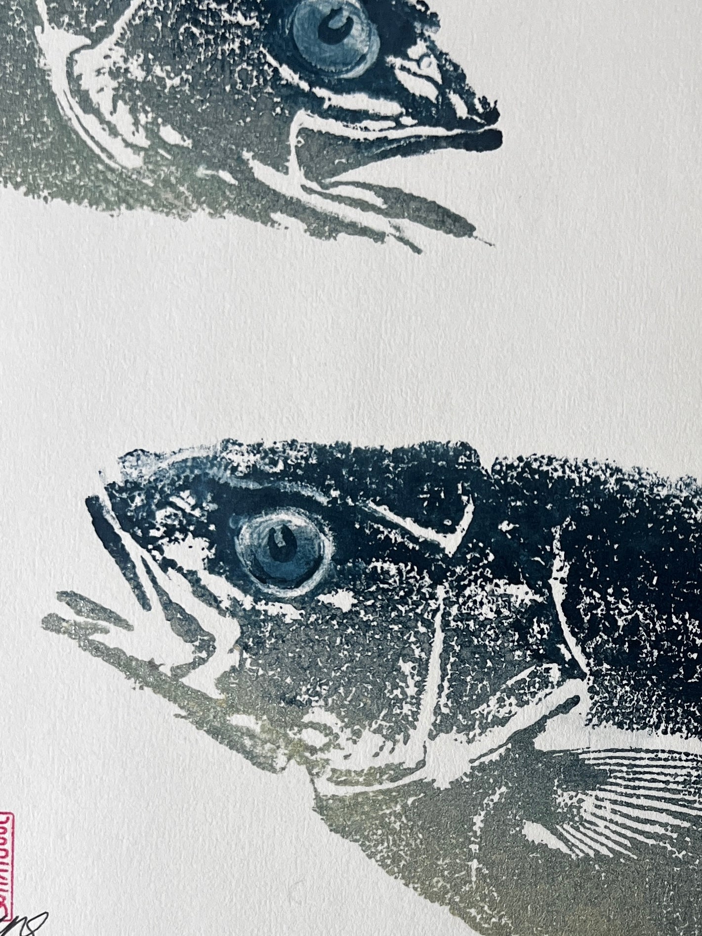 Menai Strait, Line Caught, Sea Bass Heads Duo Gyotaku Printed and Wet Mounted.