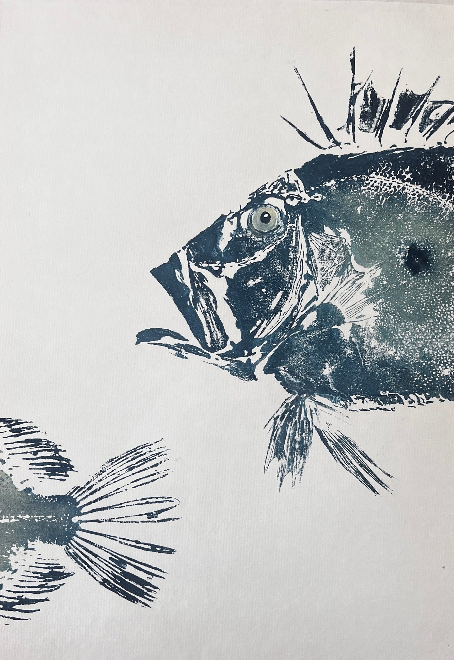 A3 Gyotaku of John Dory