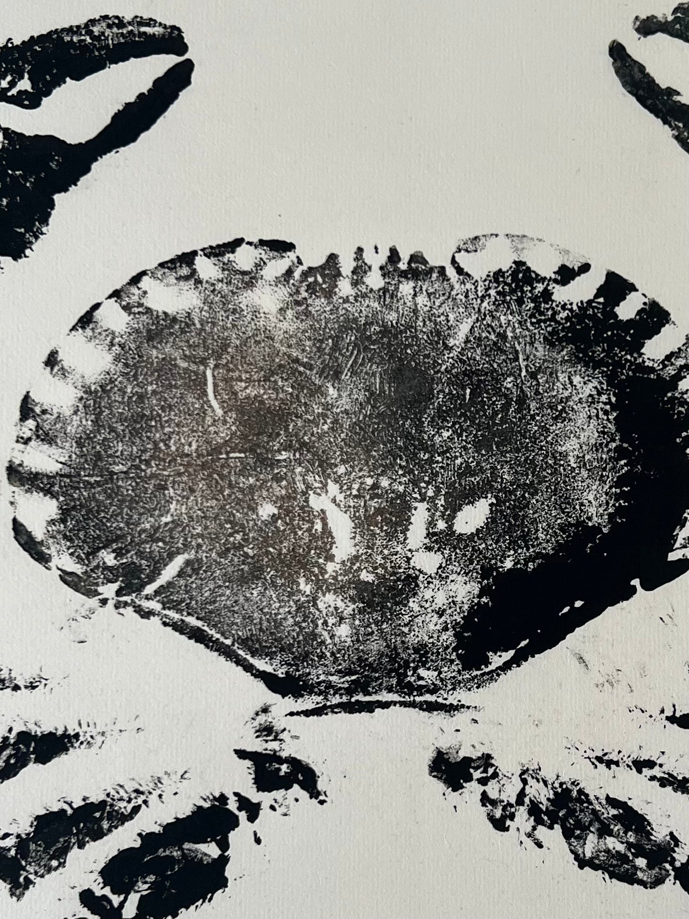 Hand Printed Gyotaku Anglesey Crab