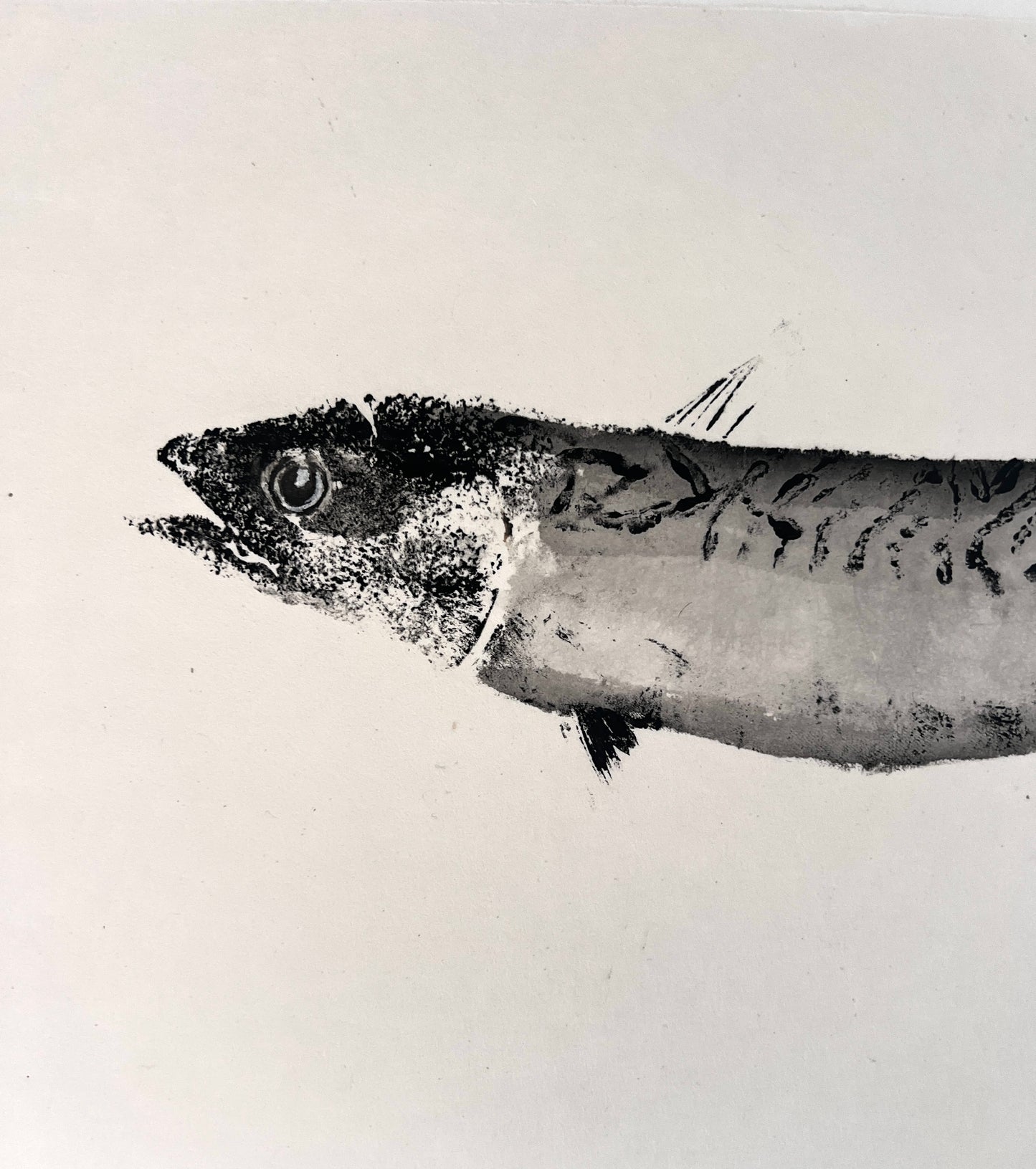 MACKEREL, HAND PAINTED GYOTAKU