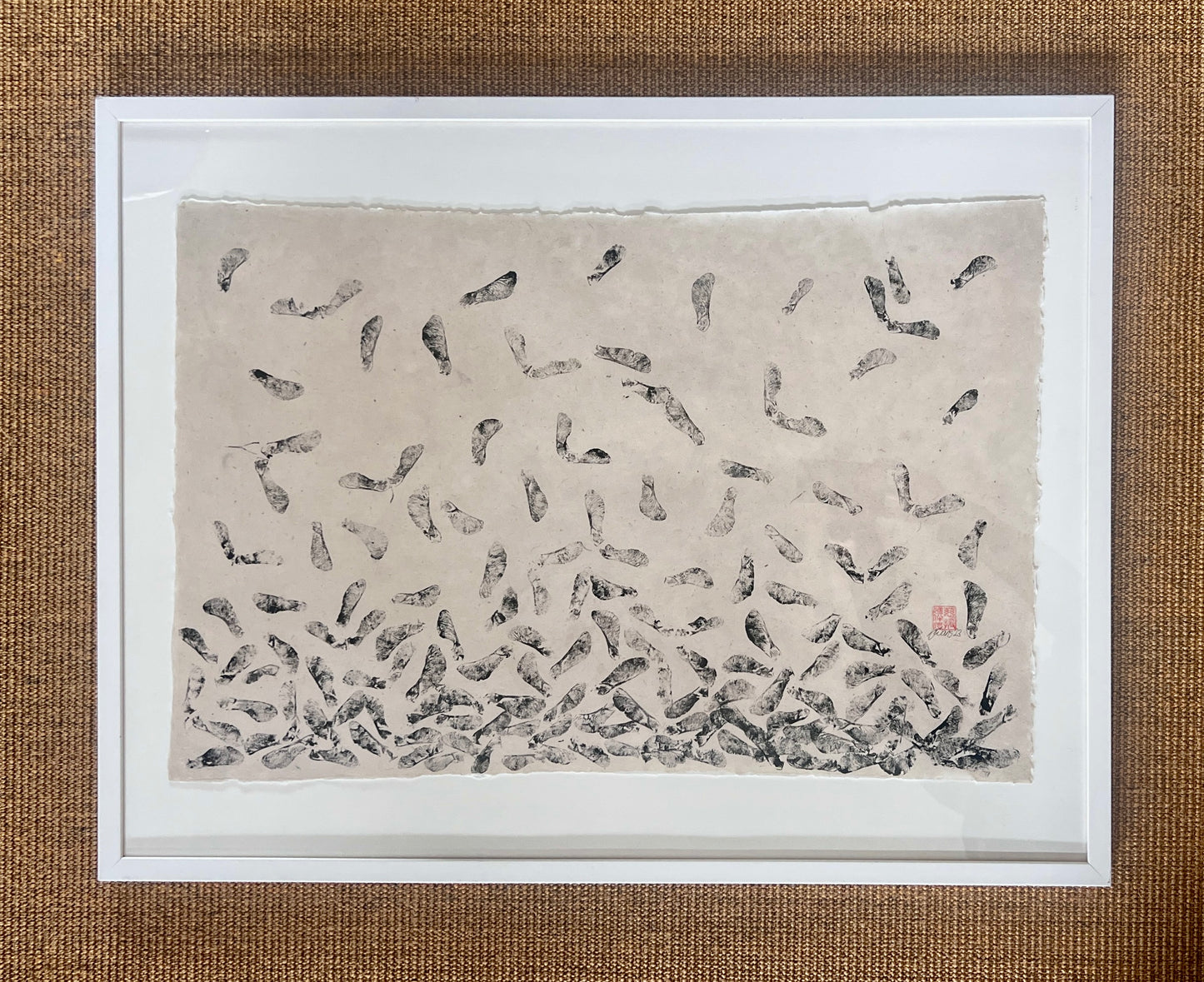 Sycamore Seed Pods on Lotka Paper