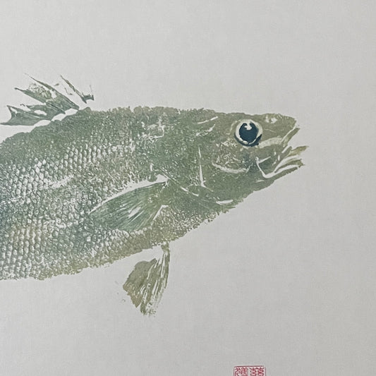 Anglesey Sea Bass Gyotaku