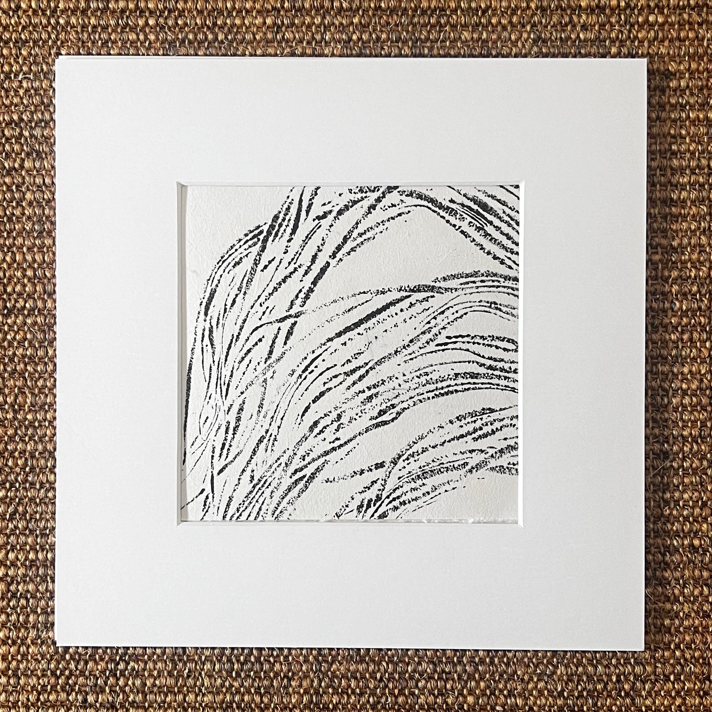 Sea Spaghetti