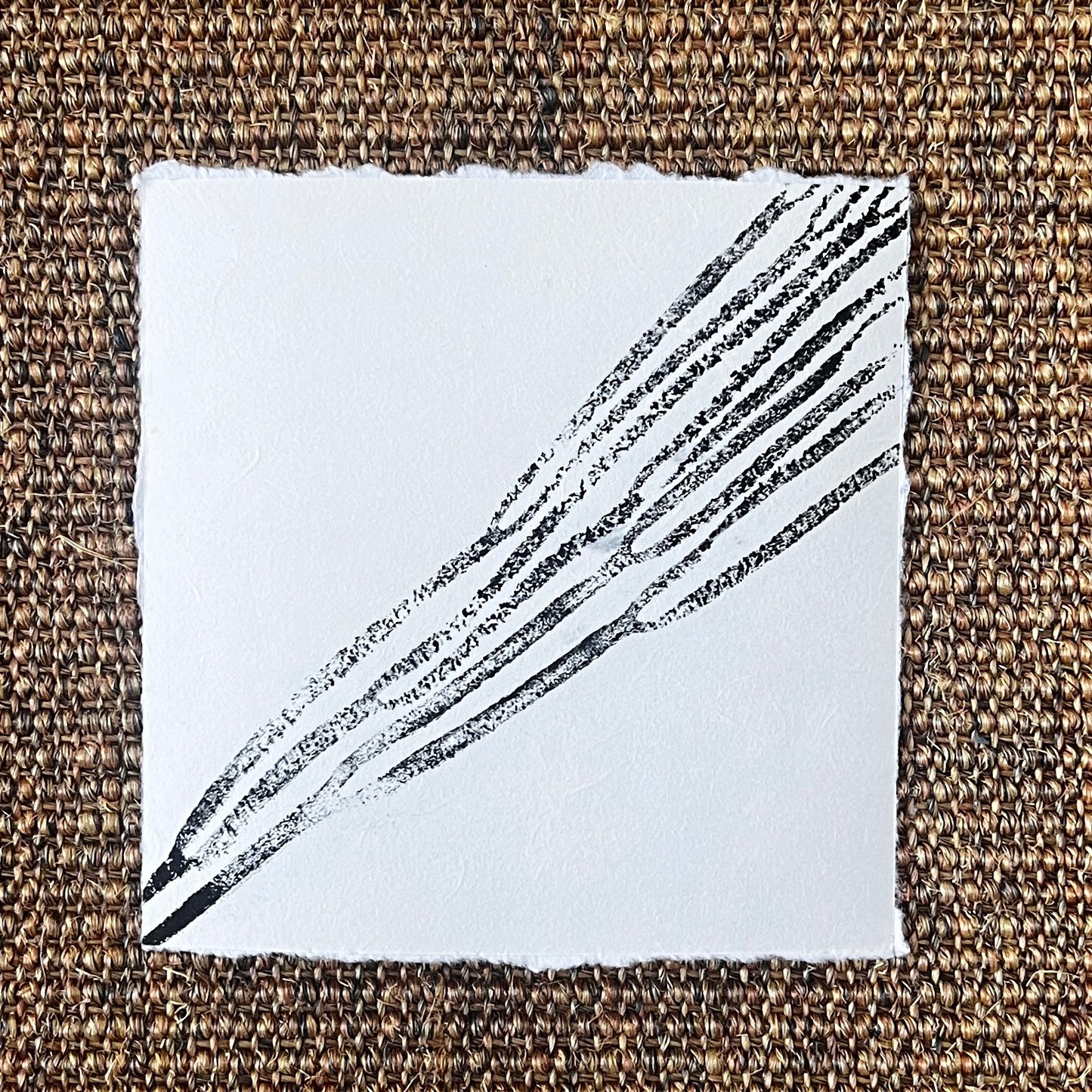 Sea Spaghetti