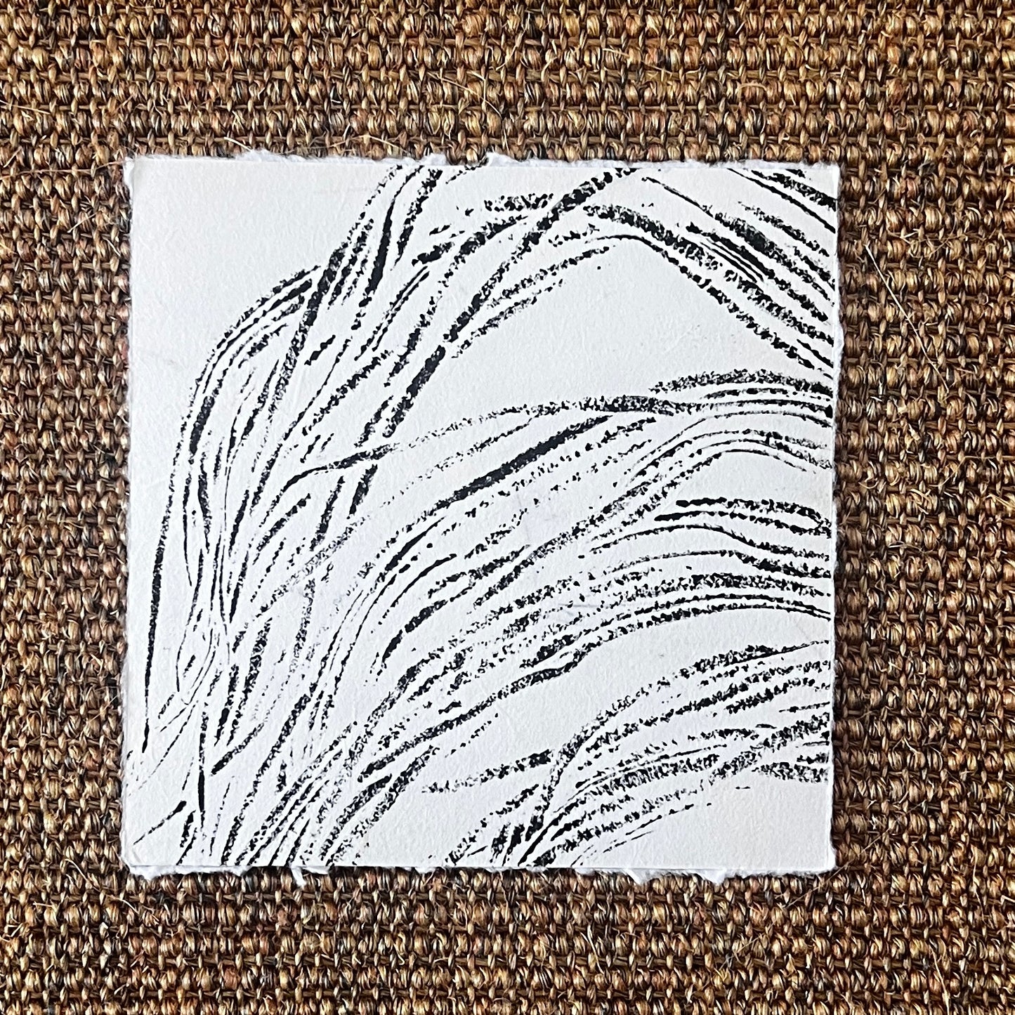Sea Spaghetti