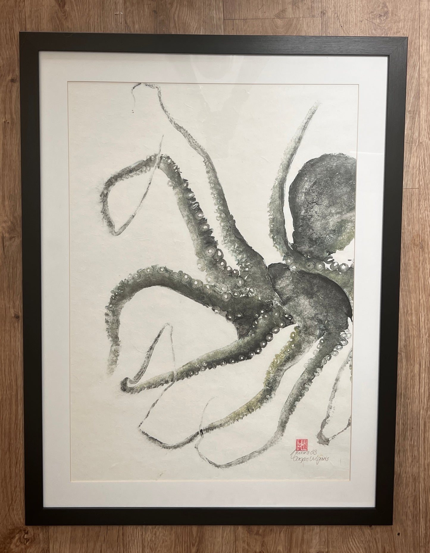 Framed Gyotaku print of Octopus Vulgris