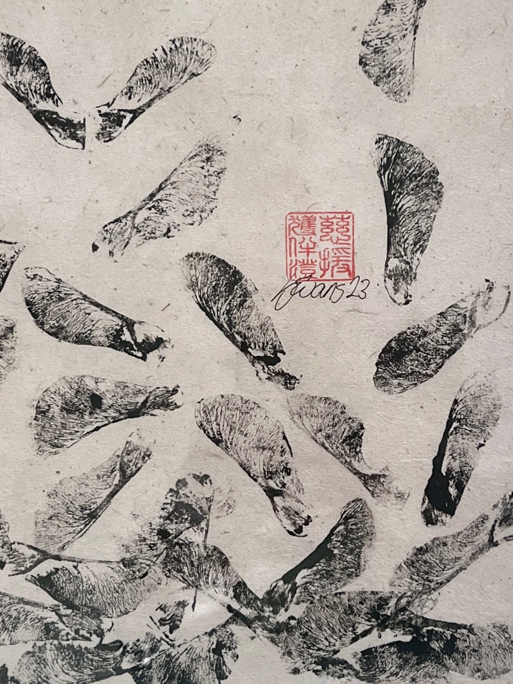 Sycamore Seed Pods on Lotka Paper