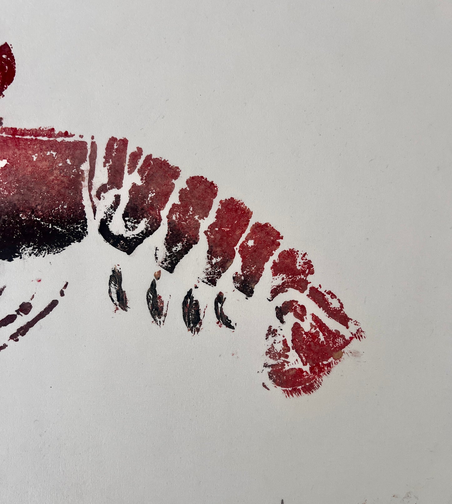 Menai Strait Lobster, Gyotaku Printed and Wet Mounted.