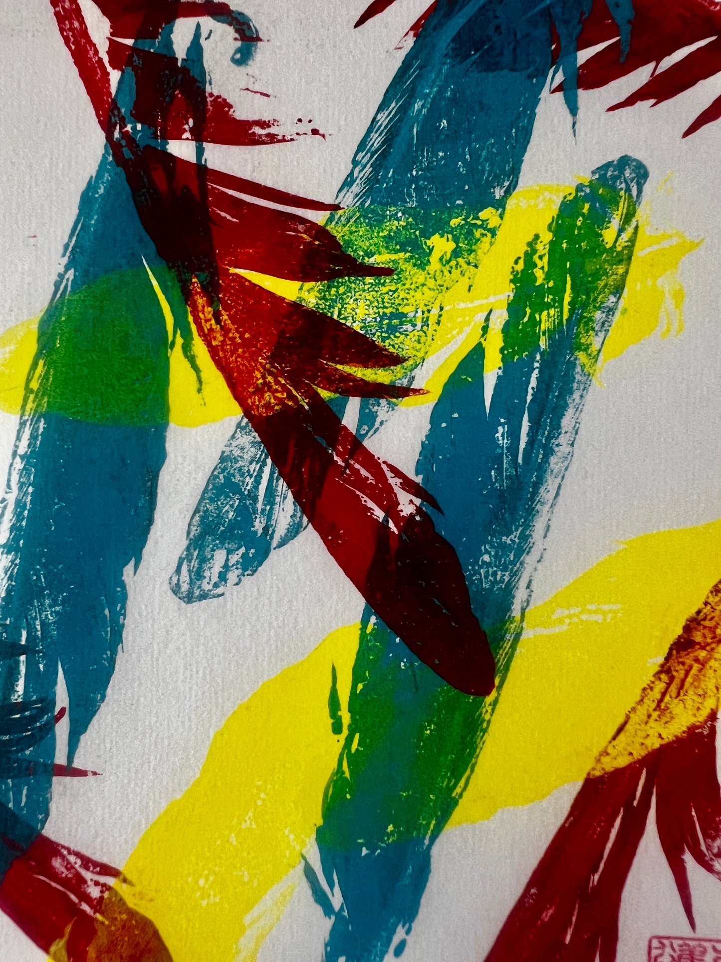 A5 Print of Multicoloured Feathers