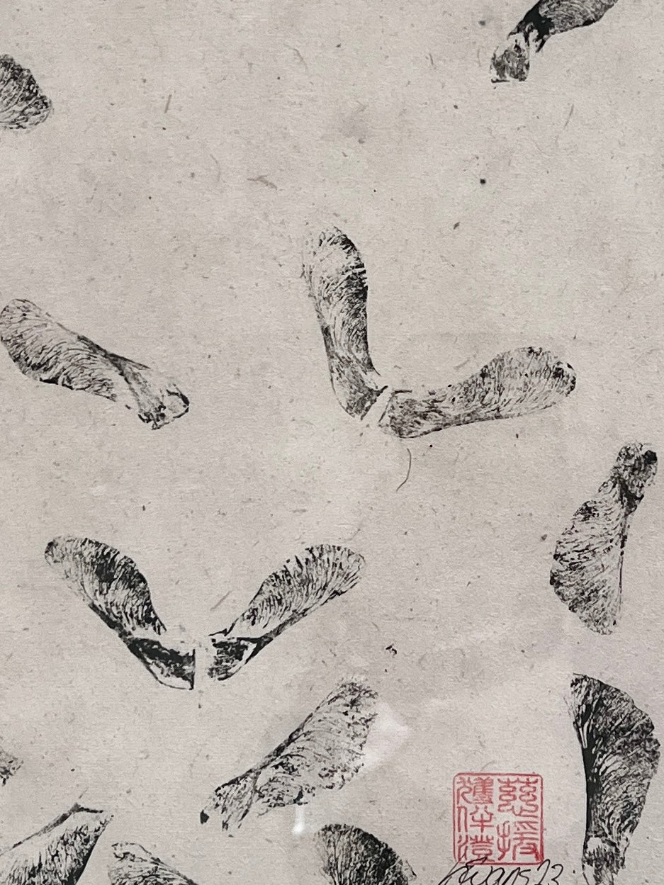 Sycamore Seed Pods on Lotka Paper
