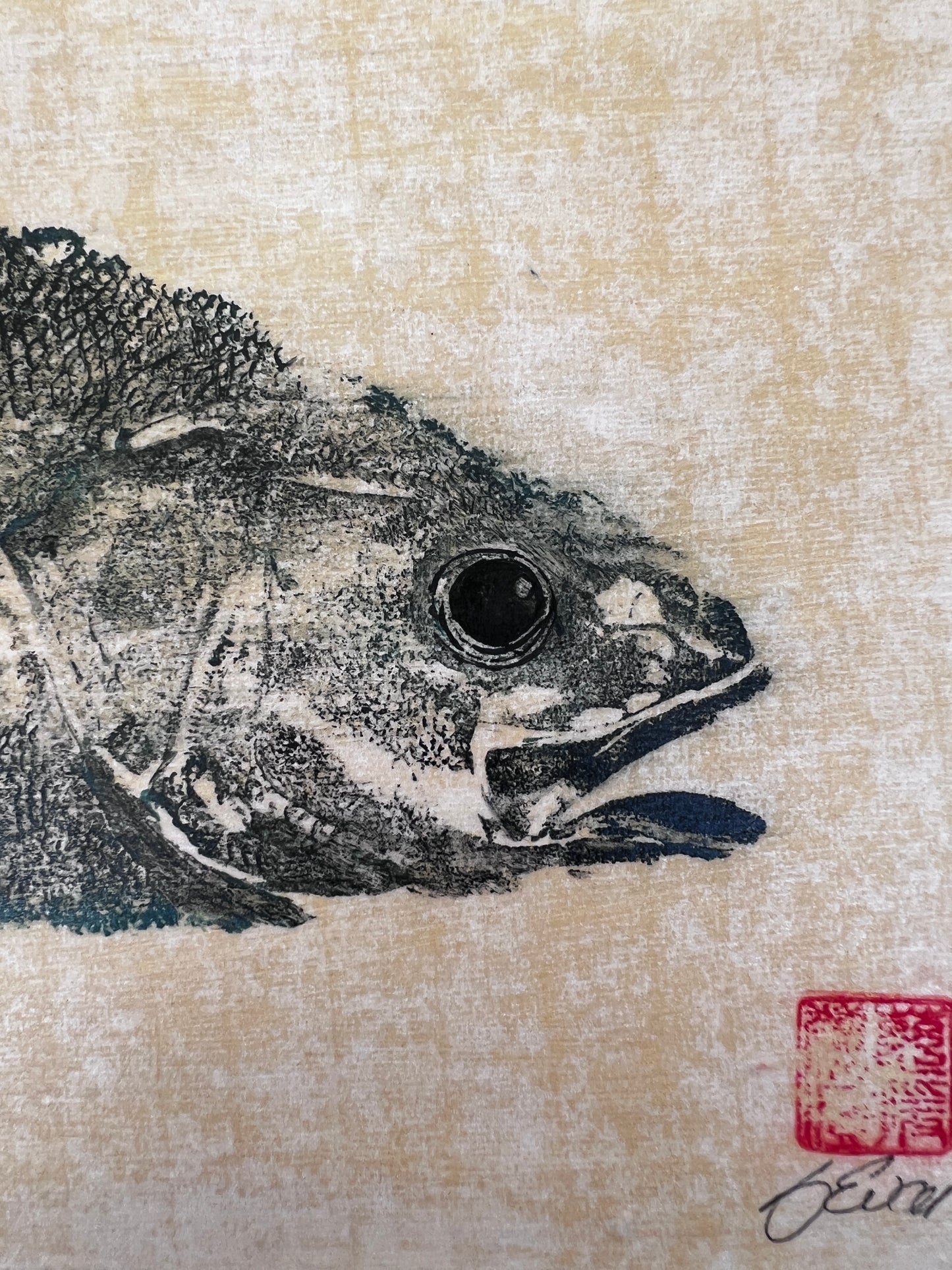 Anglesey Sea Bass Diptych Gyotaku Print