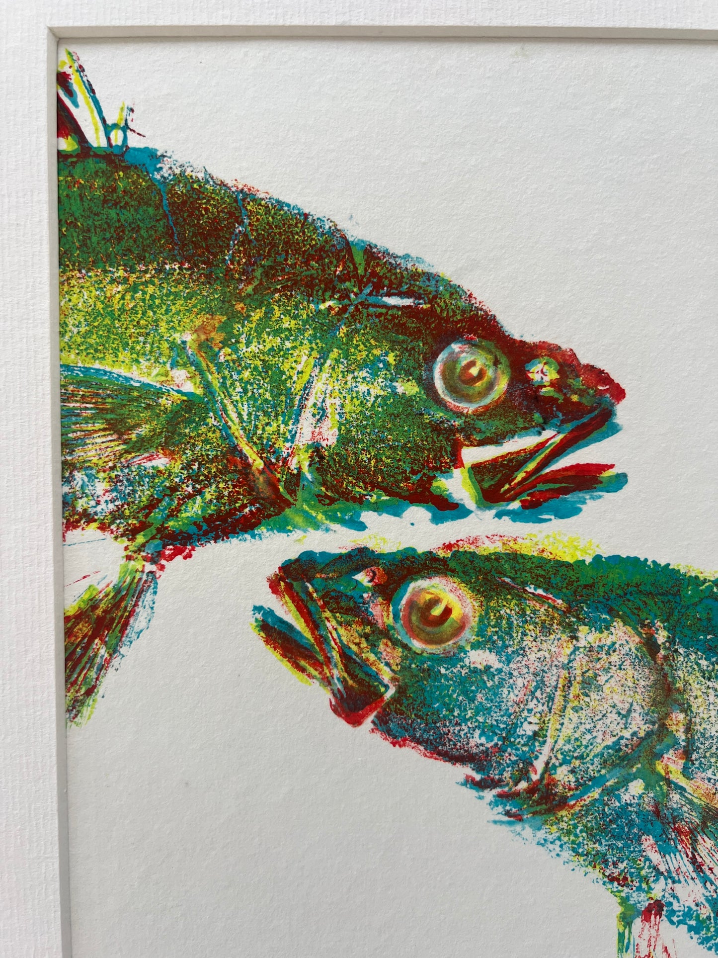 This is not a Screen Print (3 Layer Gyotaku of Sea Bass Heads)