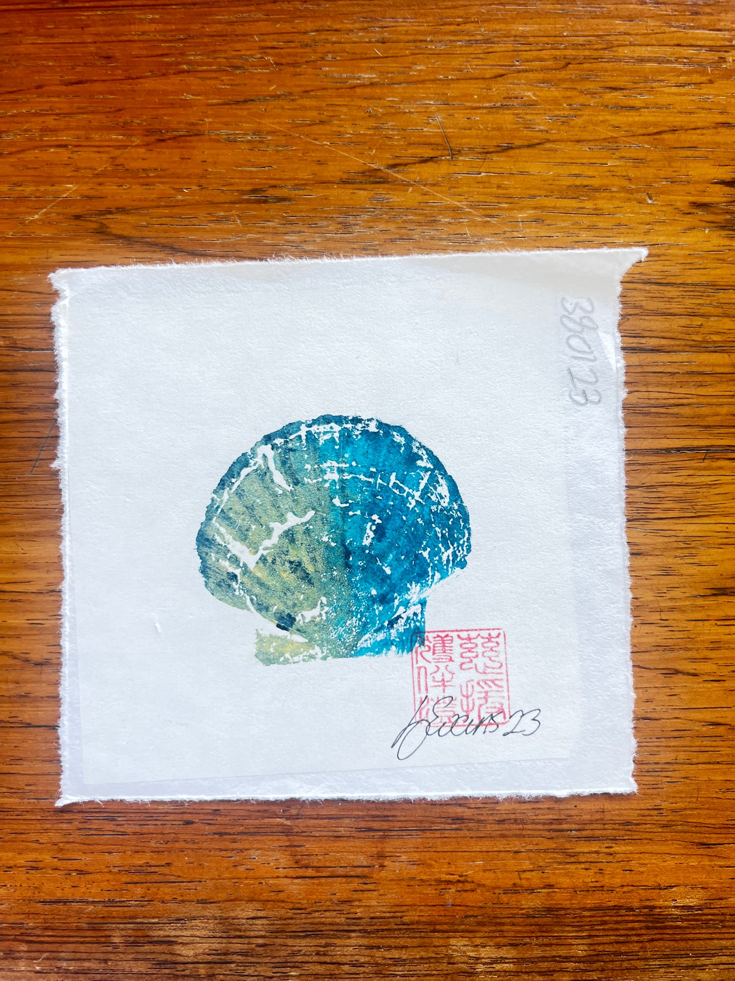 Mini Scallop Shell Gyotaku