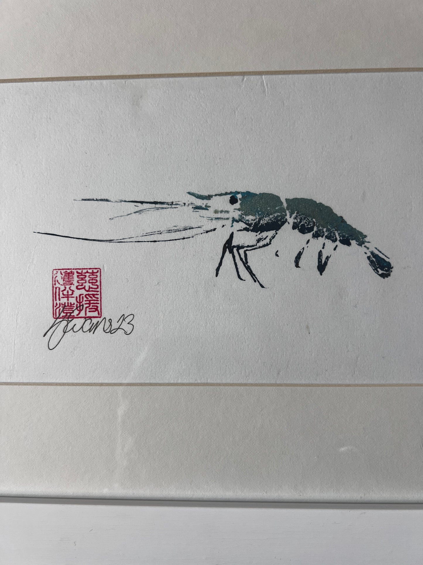 Framed Gyotaku of a Menai Strait Prawn A5