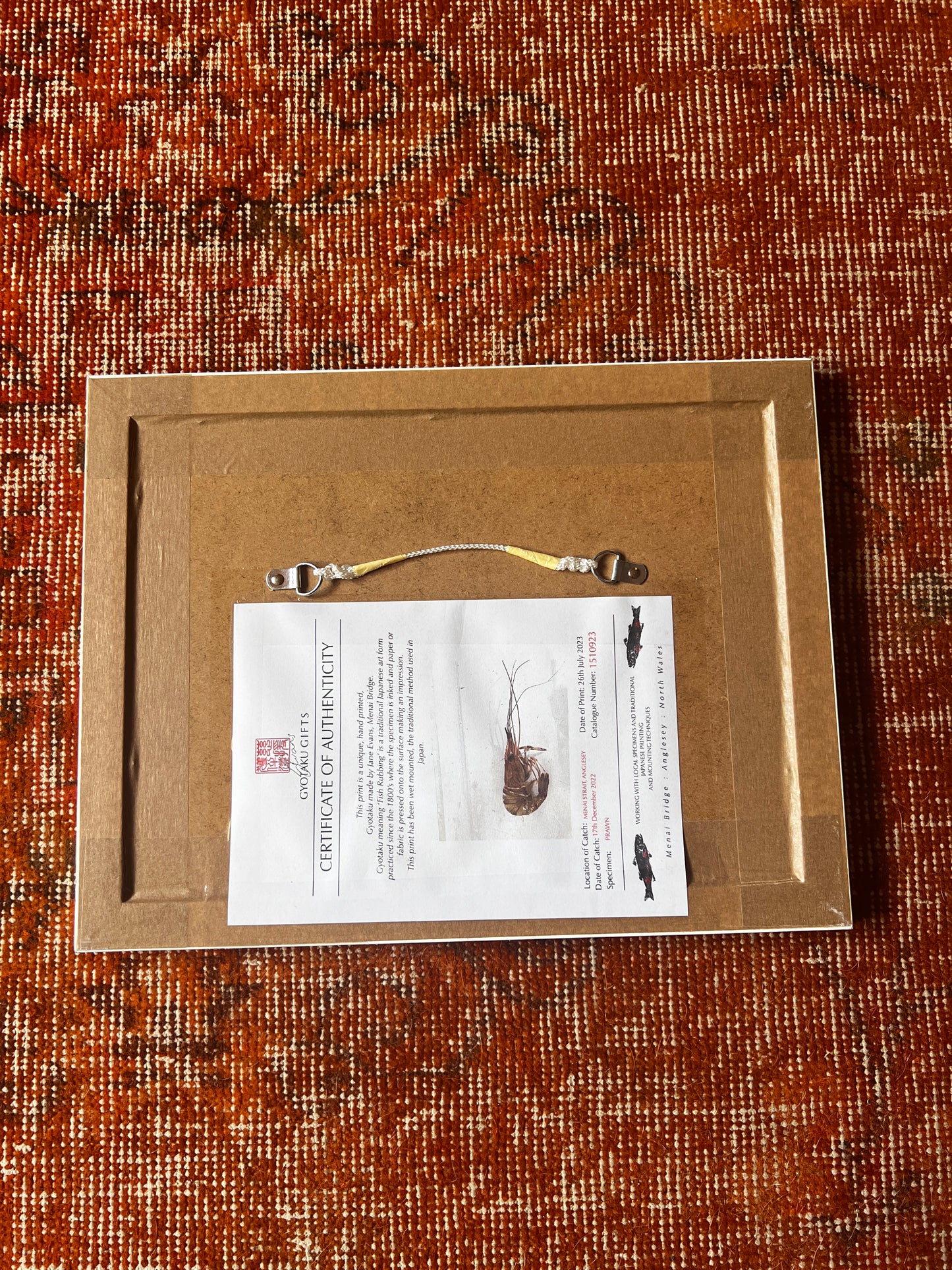 Framed Gyotaku of a Menai Strait Prawn A5