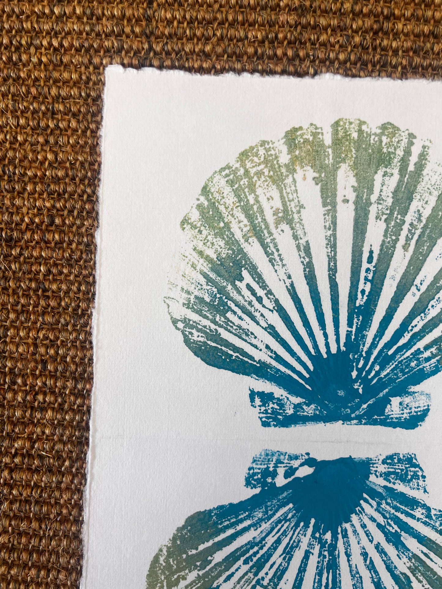 Scallop Shell Duo Gyotaku