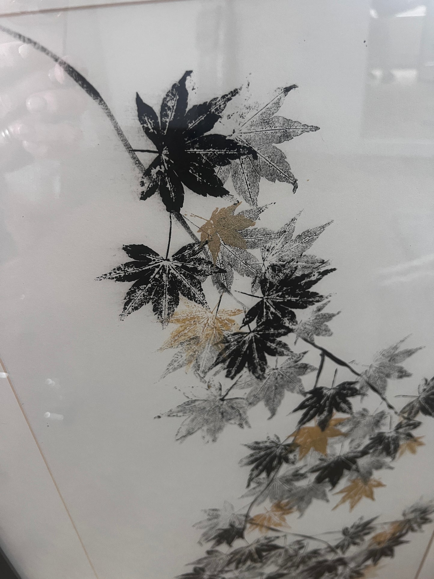 Framed Acer Gyotaku on handmade Japanese Kozo Paper.