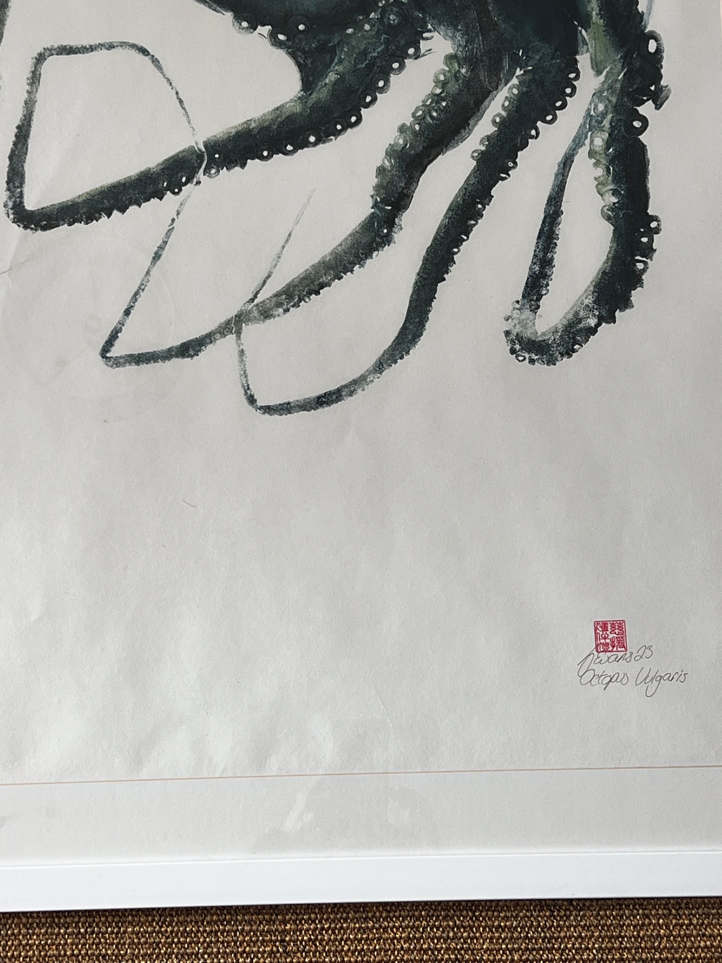 Framed Gyotaku print of Octopus Vulgris