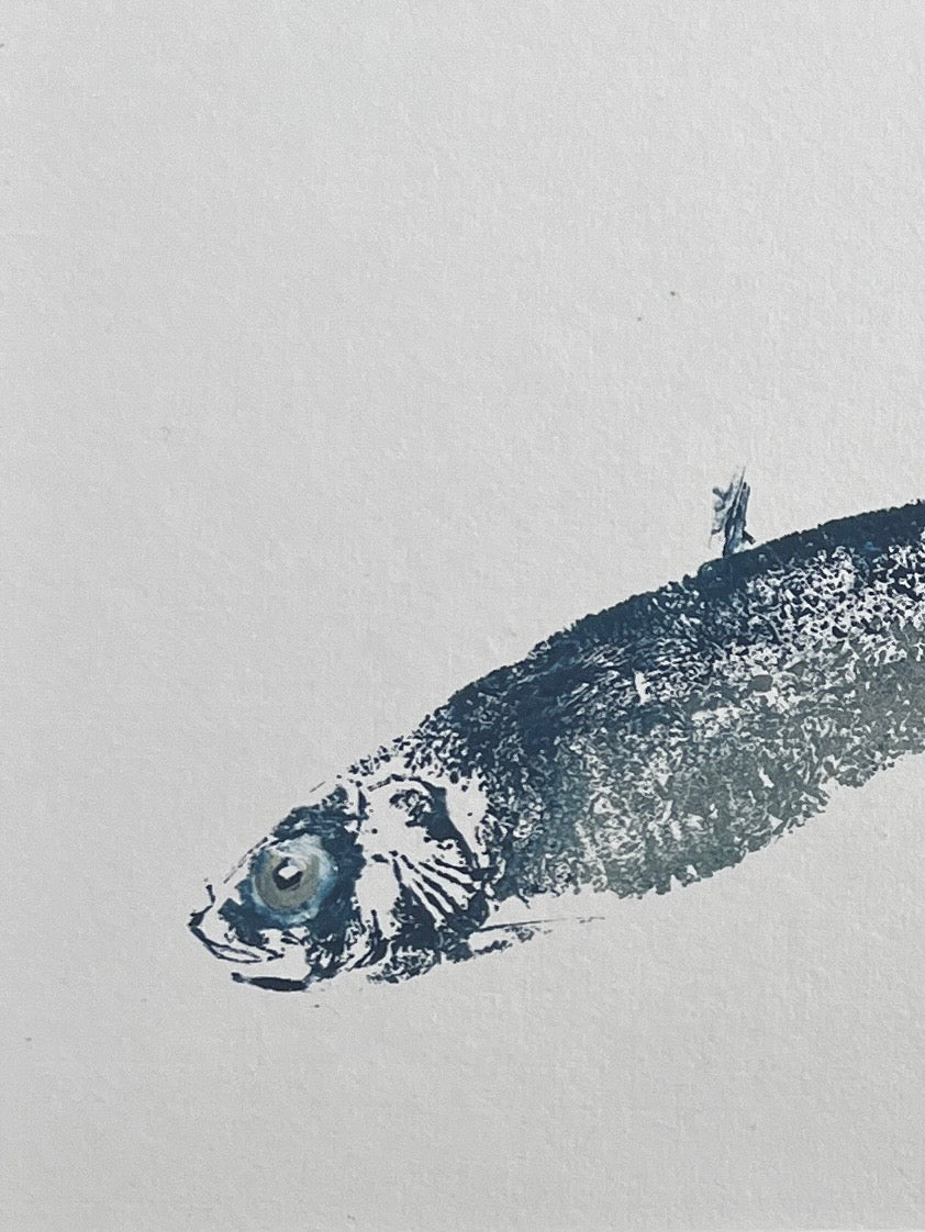 Sardine Gyotaku Print