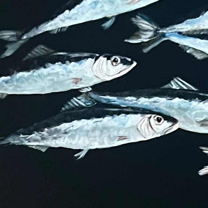 Sardines, Acrylic on Board (Framed)
