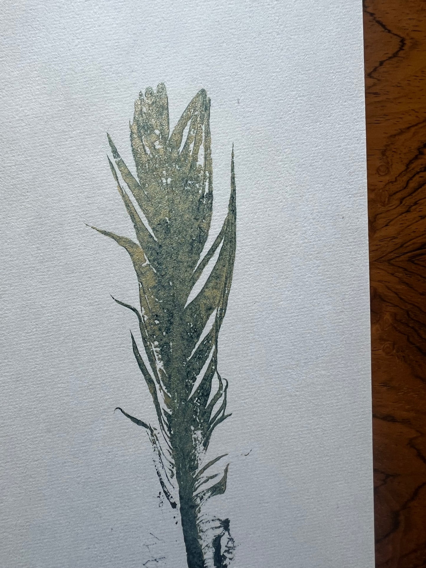 Small Bird Feather – Gyotaku Print