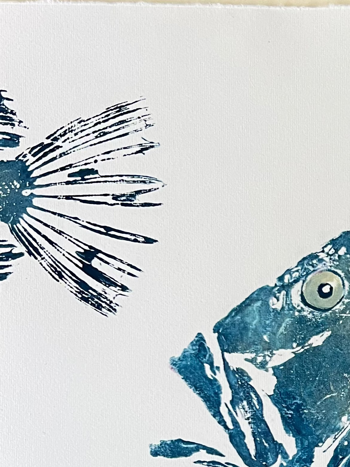 Framed John Dory – Gyotaku Print A3